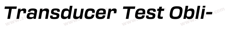 Transducer Test Obli字体转换